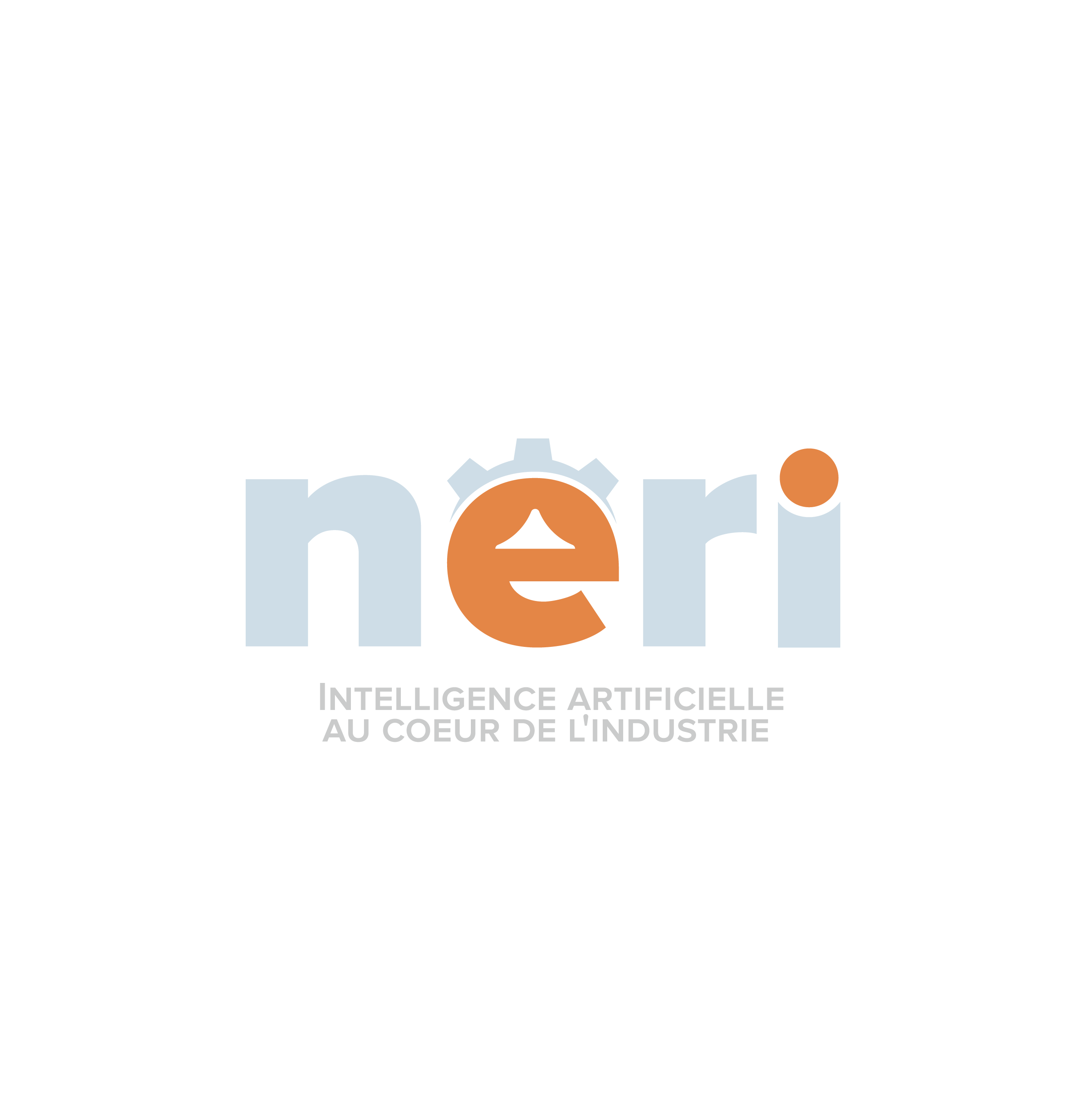 NERI GROUP